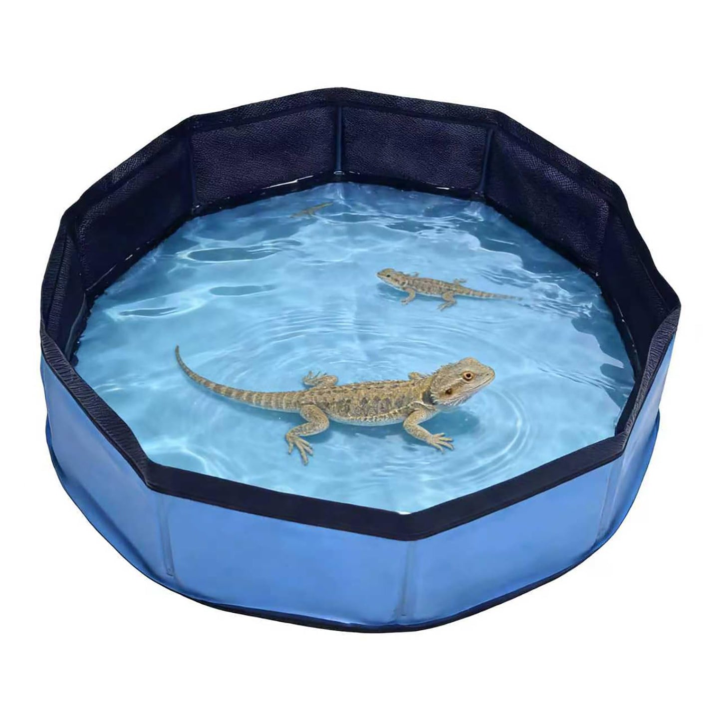 Eooqi Foldable Bearded Dragon Bathtub, Collapsible Reptile Bath Pool & Small Pet Water Tub, Portable Hard-Side Reptile Swimming Pool for Bearded Dragons, Hedgehogs and Hamsters (Blue, 19 x 3.5 in)