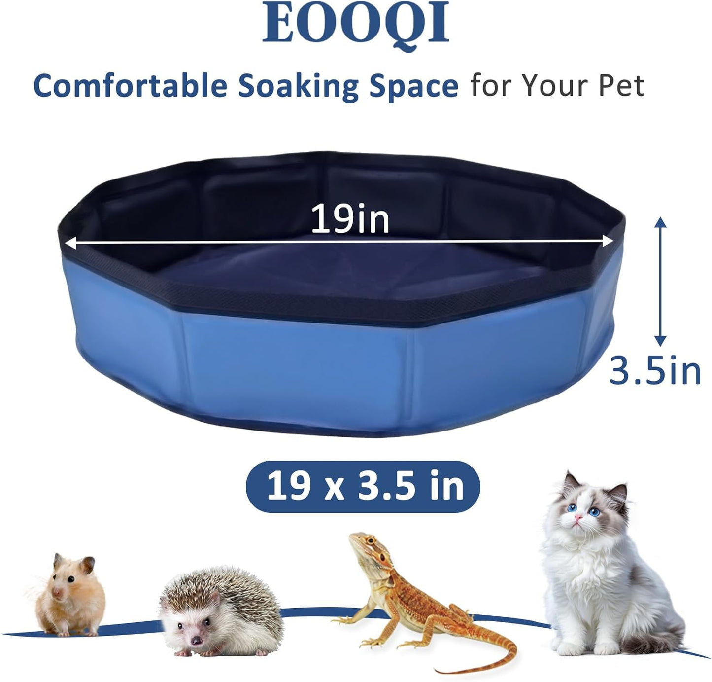 Eooqi Foldable Bearded Dragon Bathtub, Collapsible Reptile Bath Pool & Small Pet Water Tub, Portable Hard-Side Reptile Swimming Pool for Bearded Dragons, Hedgehogs and Hamsters (Blue, 19 x 3.5 in)