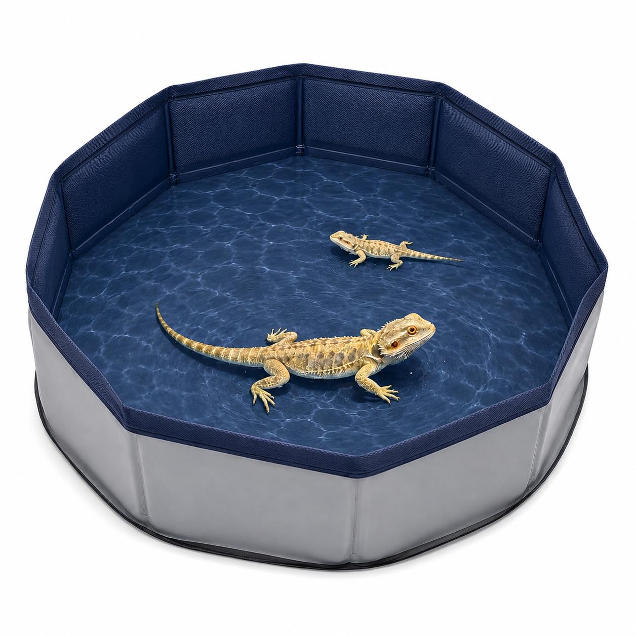 Eooqi Foldable Bearded Dragon Bathtub, Collapsible Reptile Bath Pool & Small Pet Water Tub, Portable Hard-Side Reptile Swimming Pool for Bearded Dragons, Hedgehogs and Hamsters (Blue, 19 x 3.5 in)